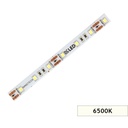 Şerit, DCLED, 2835 SAMSUNG, MT/60, 6500K, 12V, 12W, IP65, 10MM