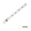 DCLED İÇ MEKAN BEYAZ 3528 MT60 ŞERİT LED