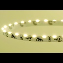 Şerit, DCLED, 335, MT/72, 10000K, 12V, 7.2W, IP33 MY
