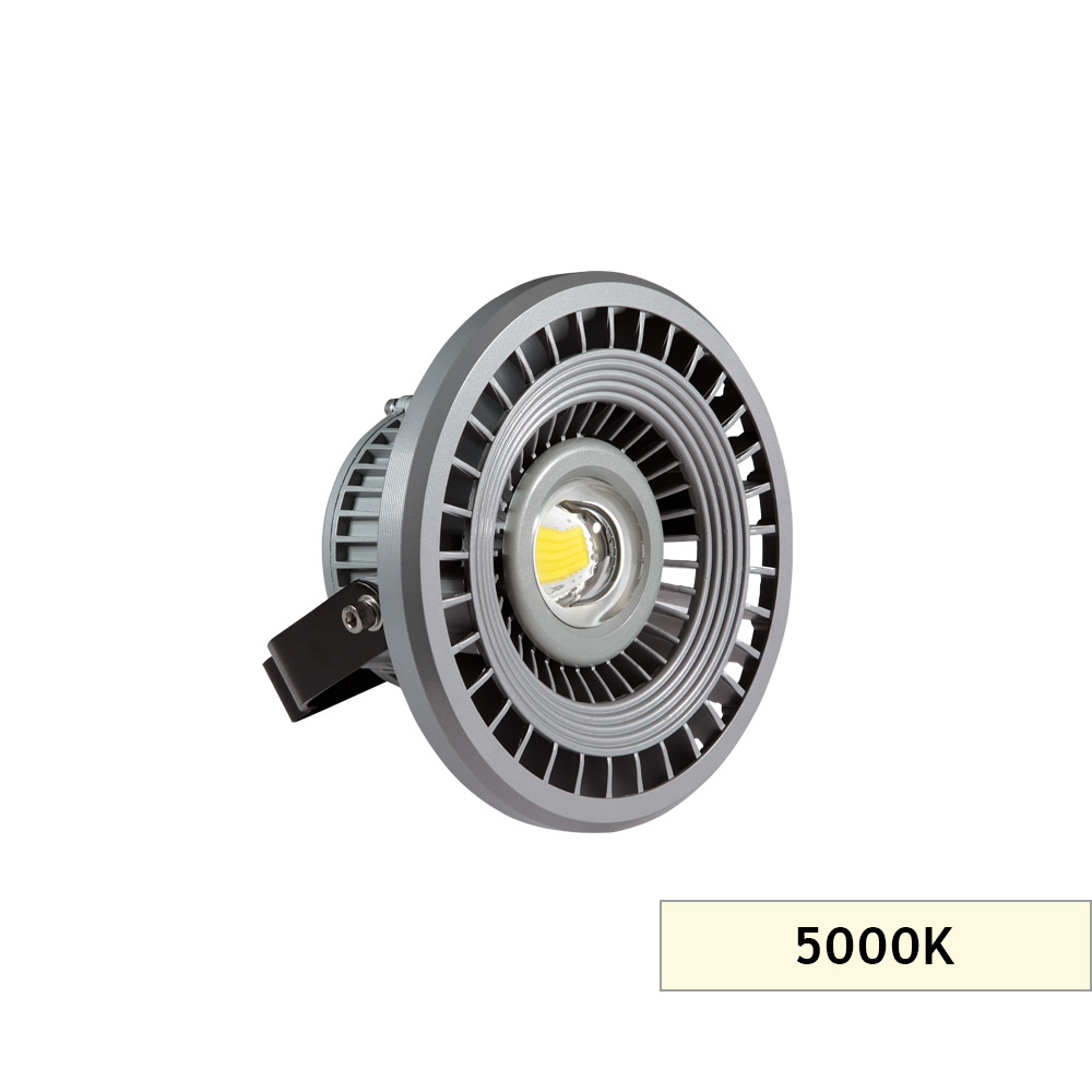 TÜNEL AYDIN. PROJEKTÖR 50W MS01 5000K 60D