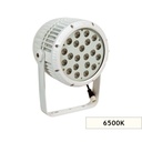 DBS3042 BAHÇE ARMATÜRÜ 42W 45D 6000K SİYAH KASA
