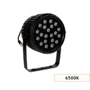 DBS3042 BAHÇE ARMATÜRÜ 42W 45D 6000K SİYAH KASA