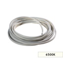 8MM S8 6500K 90LED/M IP67 12V NEON LED