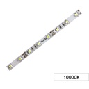 Şerit DCLED 2835 OSRAM MT/60 10000K-15000K 12V 6.5W IP20 8MM EF
