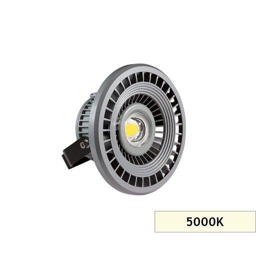 [7510301] TUNEL AYDIN. PROJEKTÖR 50W MS01 5000K 60D