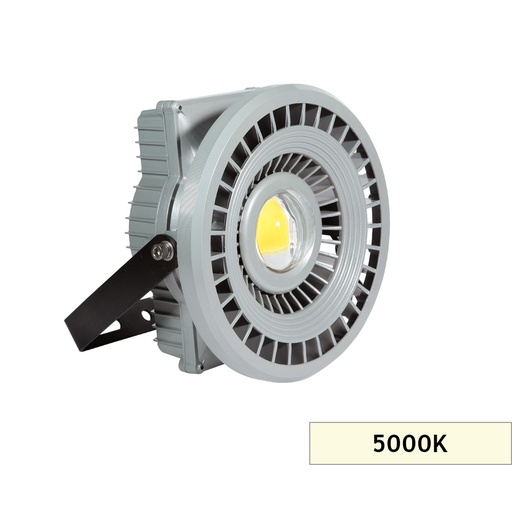 [7510701] TUNEL AYDIN. PROJEKTÖR 50W MS01 5000K 60D
