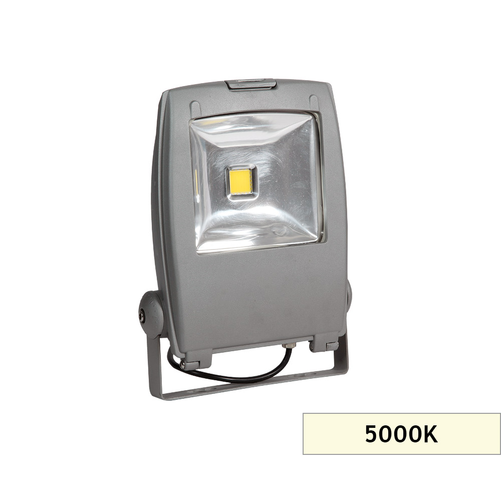 PRC50/LED PROJEKTÖR 5000K/50W