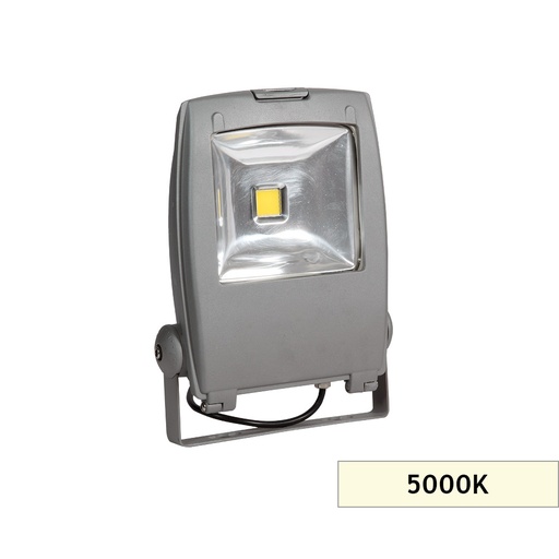 [752221] PRC50/LED PROJEKTÖR 5000K/50W