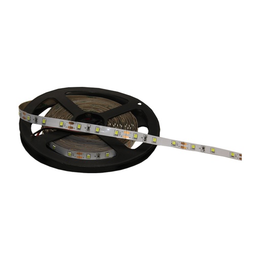 [315102] DCLED ECO 3528 MT60 IP20 İÇ MEKAN 7000K ŞERİT LED MY