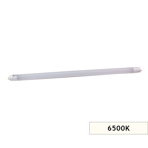 [7610404] LED FLORESAN T8 60CM CW 6000K