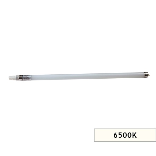 [7610409] LED FLORESAN T8 60CM CW 6500K 9W